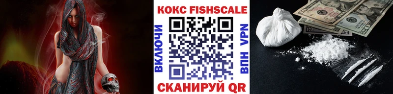 мориарти официальный сайт  Елизово  Cocaine FishScale 